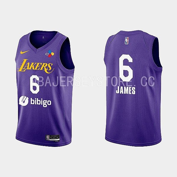 2022-23 Los Angeles Lakers LeBron James Training Camp Purple Men Jersey