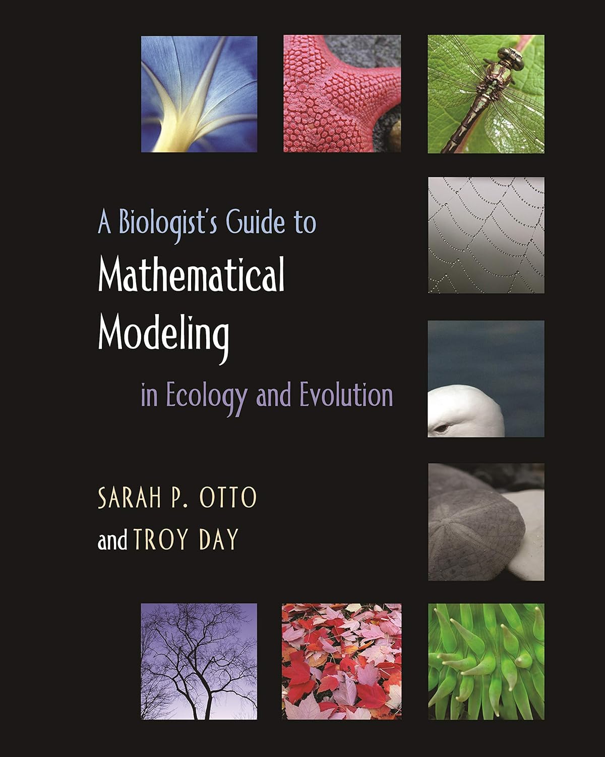 A Biologist's Guide to Mathematical Modeling in Ecology and Evolution (PDF/EPUB Version)