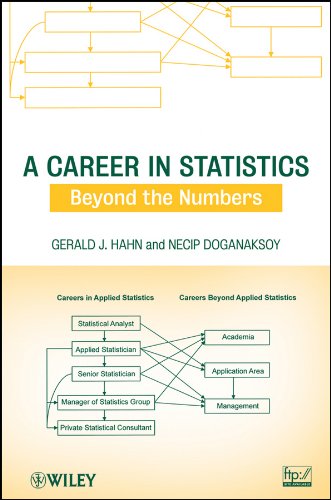 A Career in Statistics: Beyond the Numbers (PDF/EPUB Version)