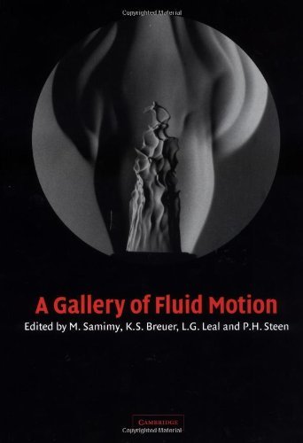 A Gallery of Fluid Motion (PDF/EPUB Version)