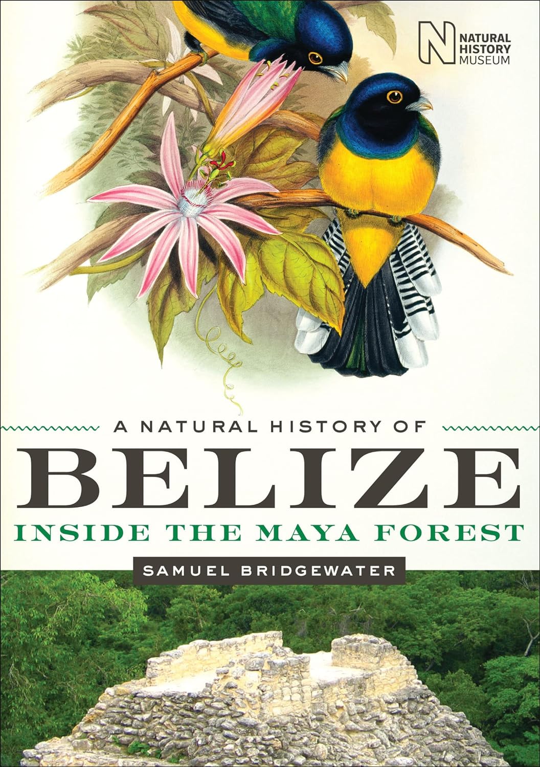 A Natural History of Belize: Inside the Maya Forest (Corrie Herring Hooks Series Book 52) (PDF/EPUB Version)