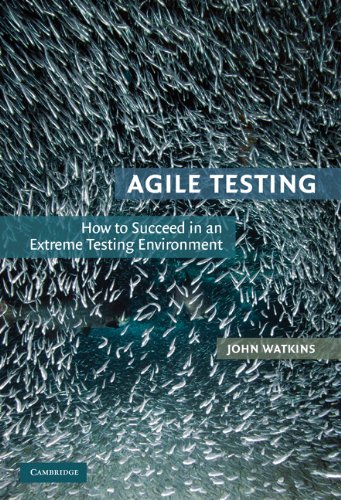 Agile Testing: How to Succeed in an Extreme Testing Environment (PDF/EPUB Version)