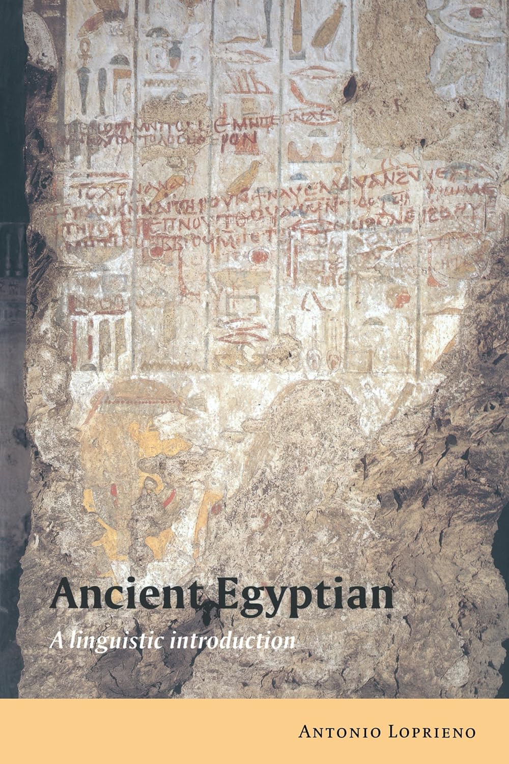 Ancient Egyptian: A Linguistic Introduction (PDF/EPUB Version)
