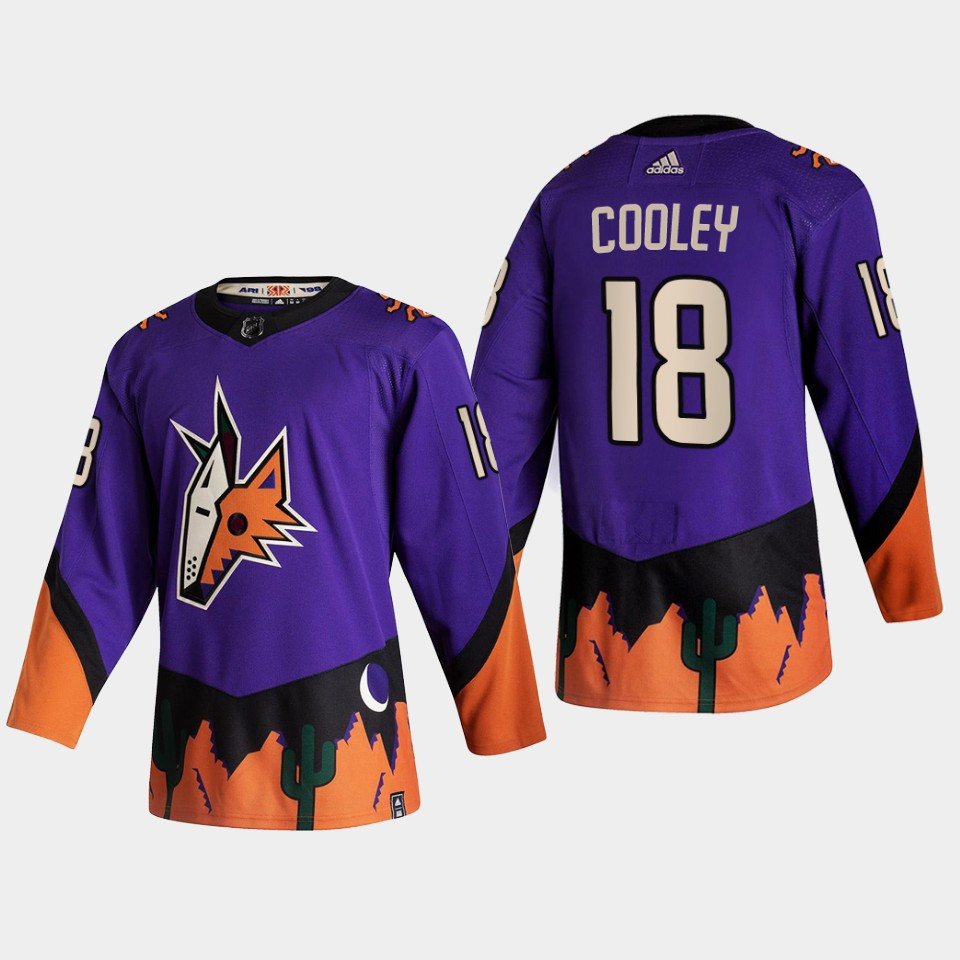 Arizona Coyotes 18 Logan Cooley 2022 NHL Draft Purple Stitched Jersey Reverse Retro
