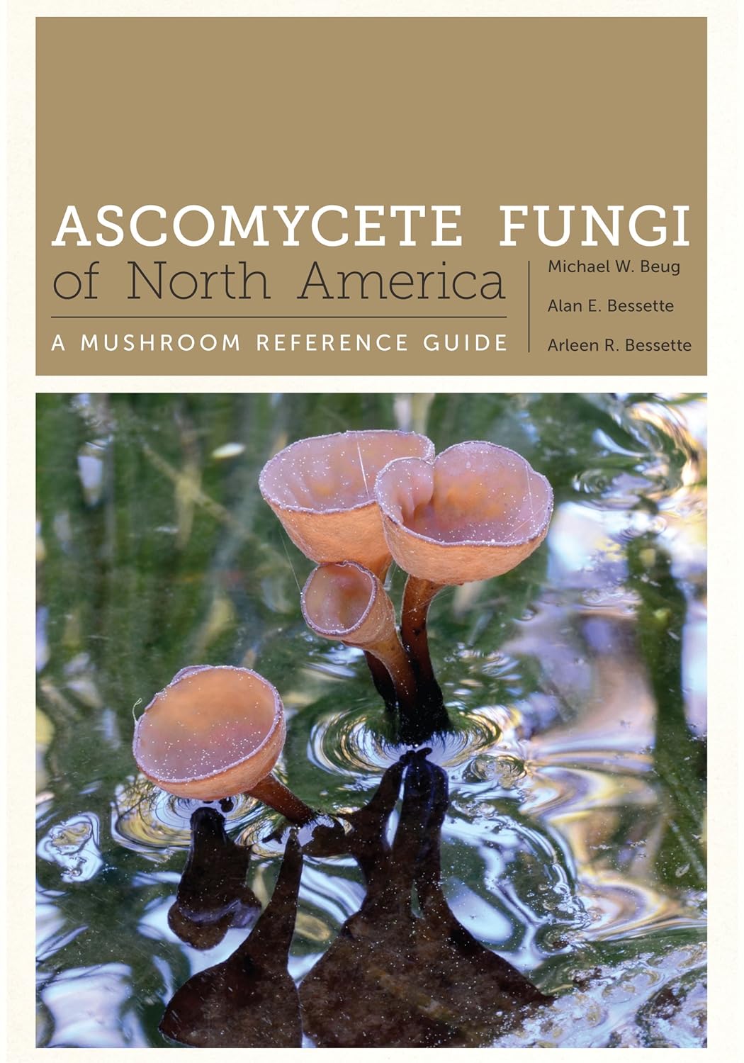 Ascomycete Fungi of North America: A Mushroom Reference Guide (Corrie Herring Hooks Series Book 69) (PDF/EPUB Version)