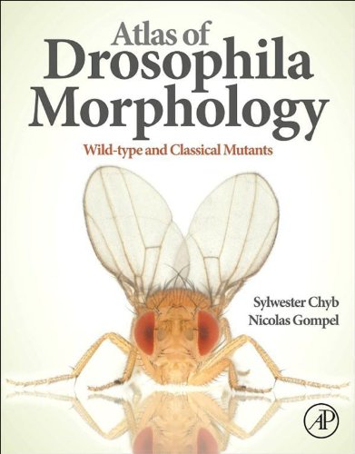 Atlas of Drosophila Morphology: Wild-type and Classical Mutants (PDF/EPUB Version)