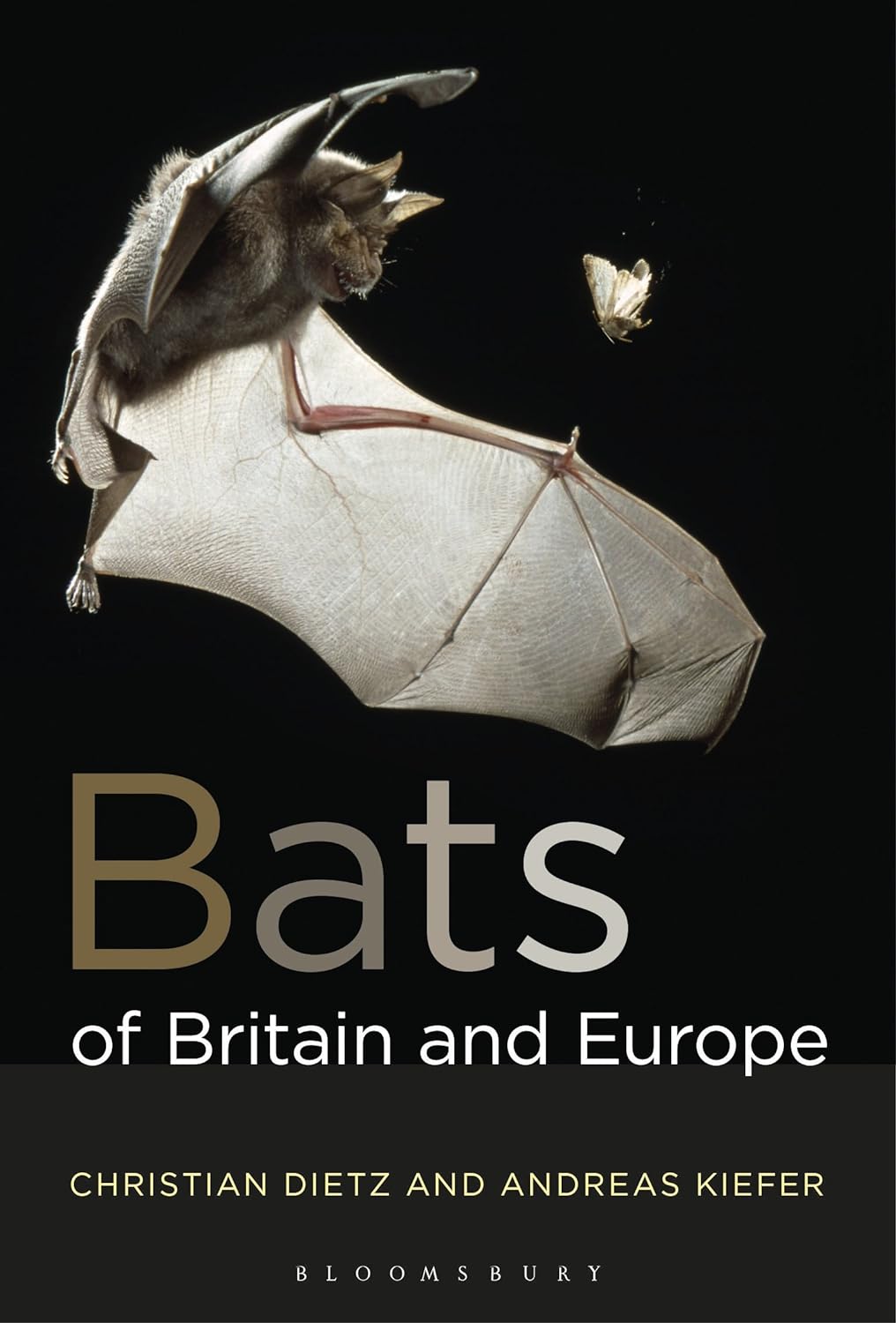 Bats of Britain and Europe (Bloomsbury Naturalist) (PDF/EPUB Version)