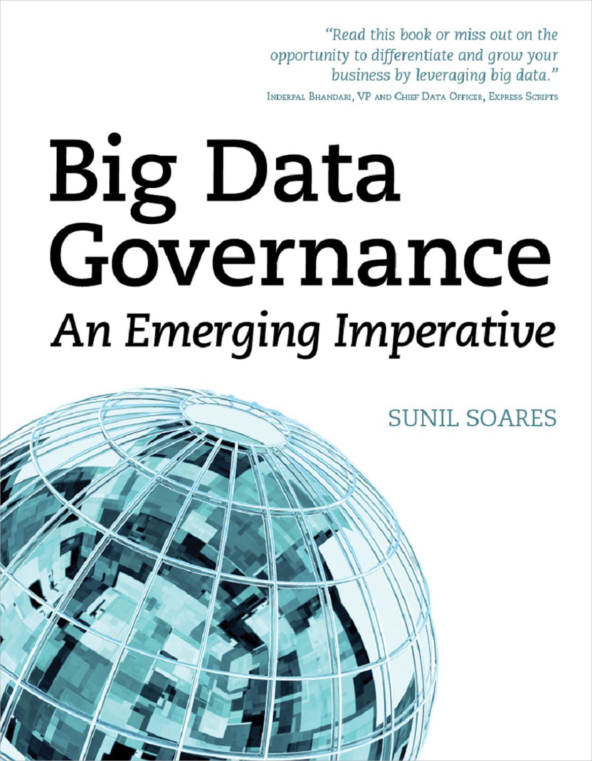 Big Data Governance: An Emerging Imperative (PDF/EPUB Version)