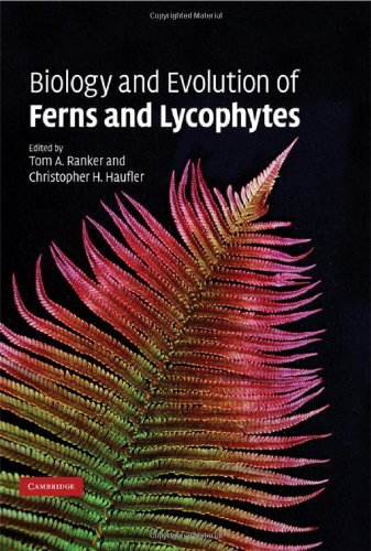 Biology and Evolution of Ferns and Lycophytes (PDF/EPUB Version)