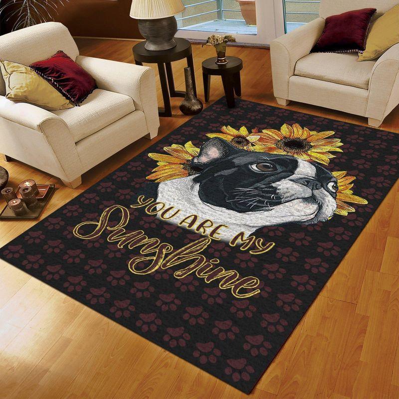 Boston Sunshine Limited Edition Rectangle Rug