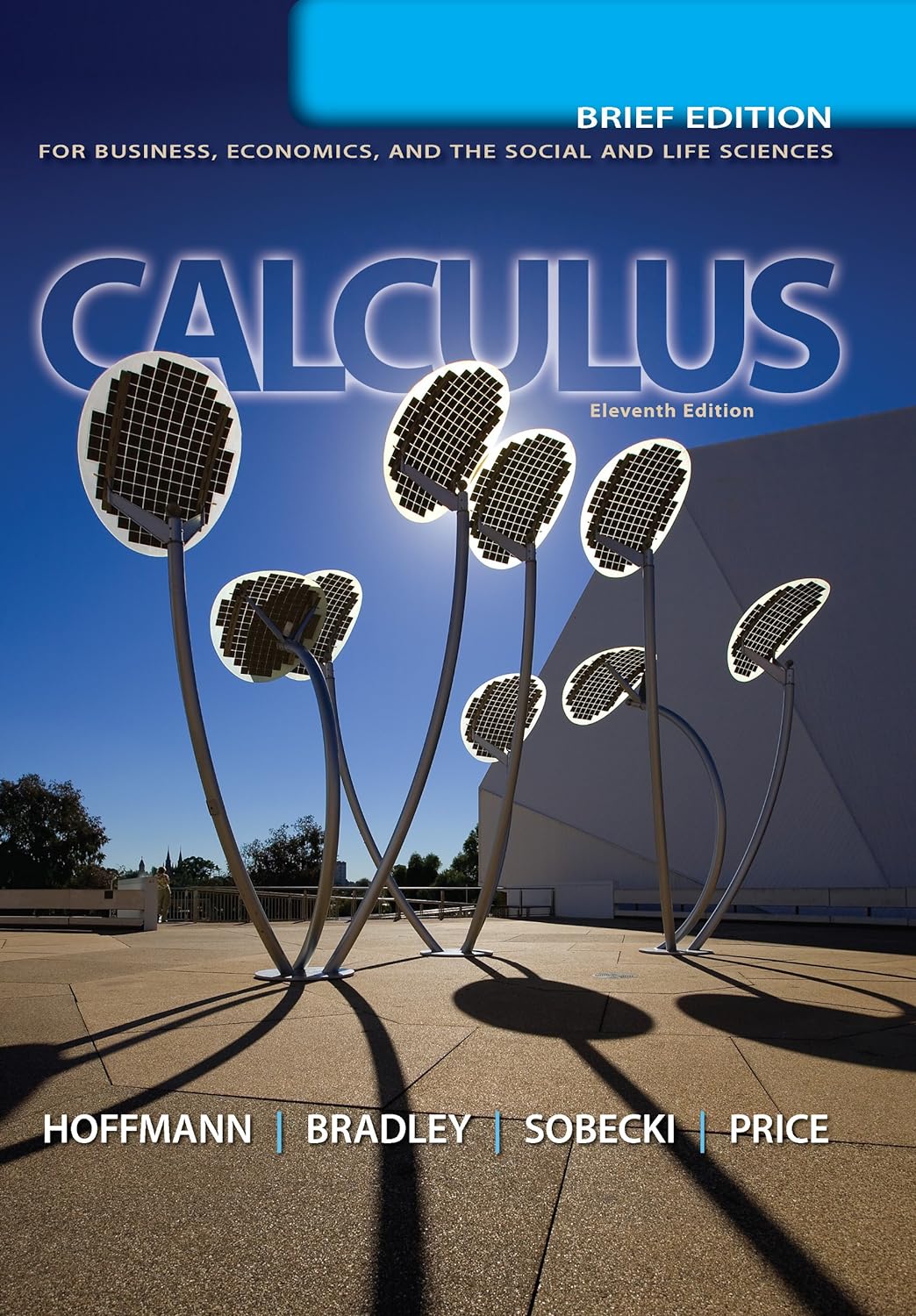 Calculus for Business, Economics, and the Social and Life Sciences, Brief Version, 11th edition (PDF/EPUB Version)