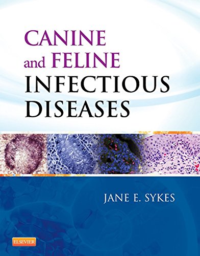 Canine and Feline Infectious Diseases (PDF/EPUB Version)