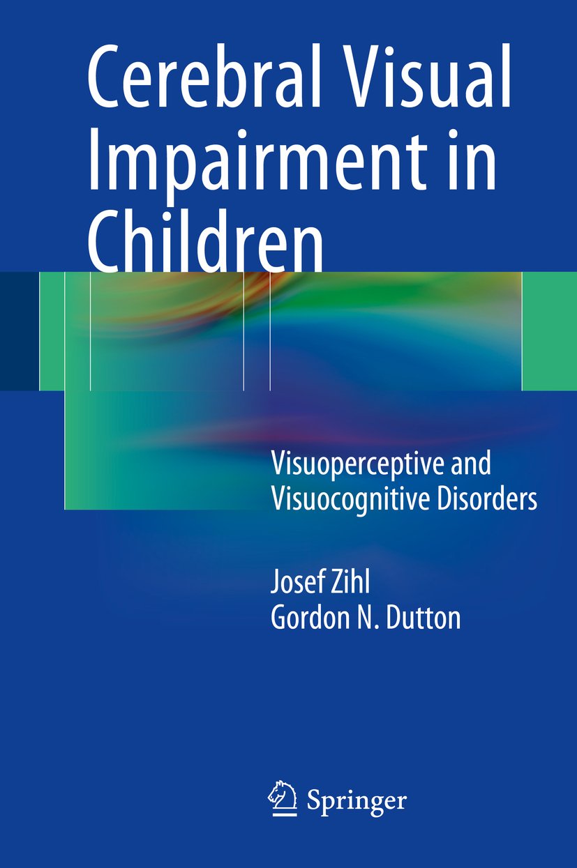 Cerebral Visual Impairment in Children: Visuoperceptive and Visuocognitive Disorders (PDF/EPUB Version)