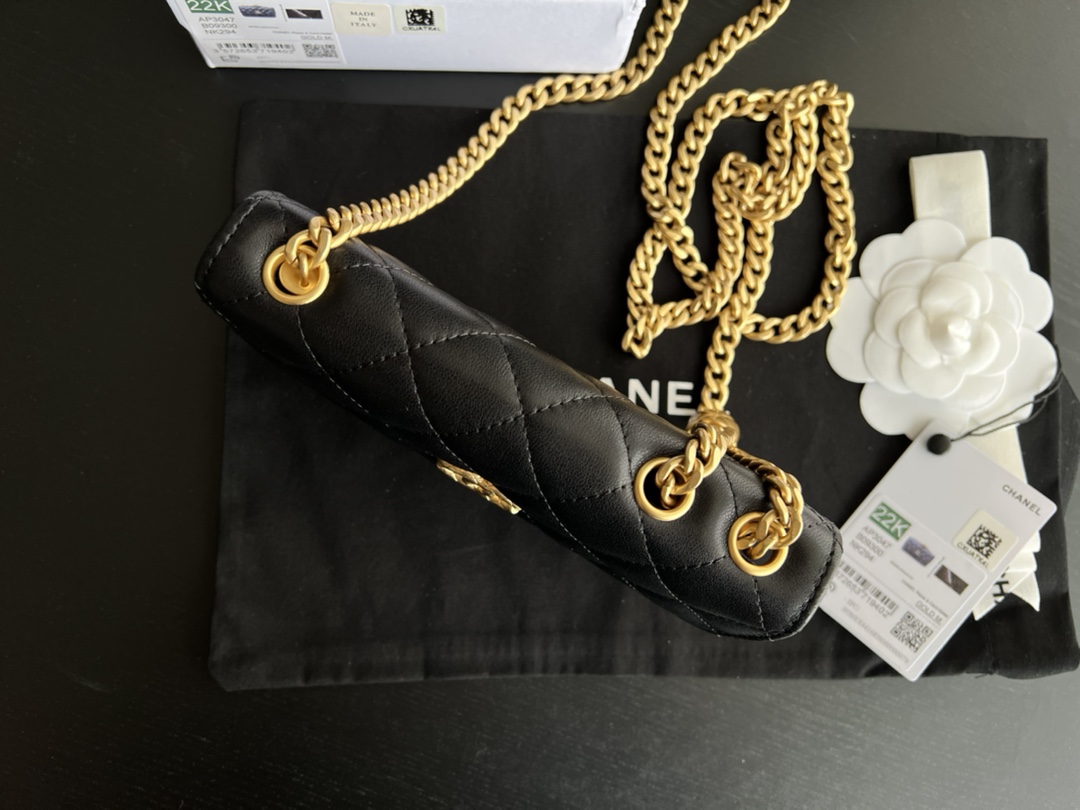 Chanel CC WOC Bag Black/Beige/ Green Khaki/ Brown For Women 6.7 in / 17 cm