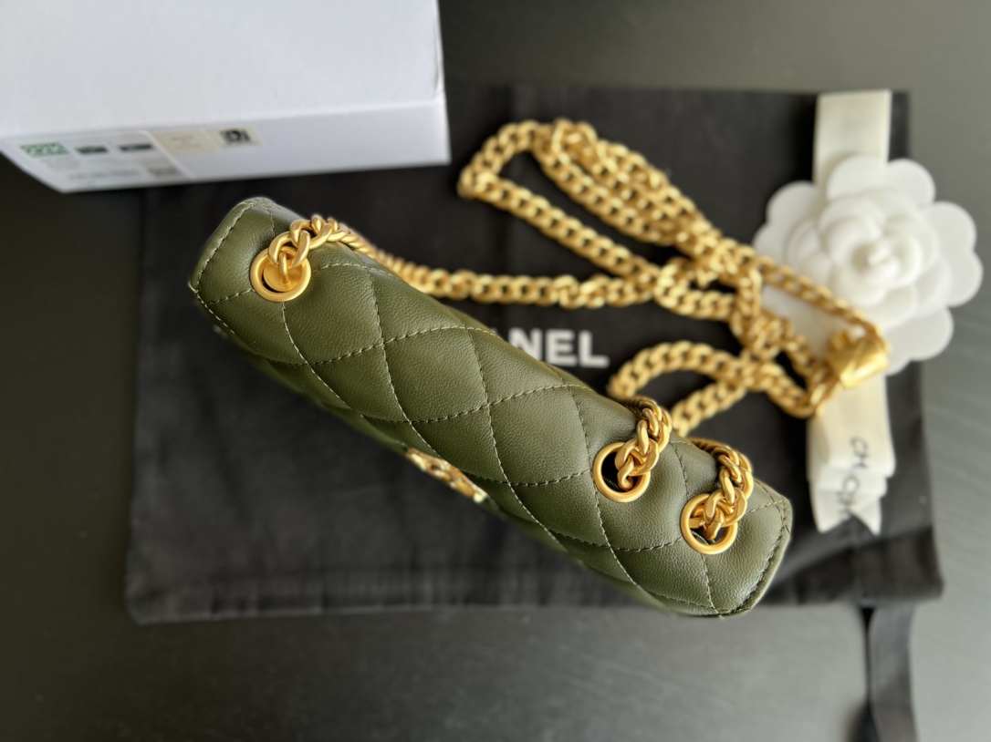 Chanel CC WOC Bag Black/Beige/ Green Khaki/ Brown For Women 6.7 in / 17 cm