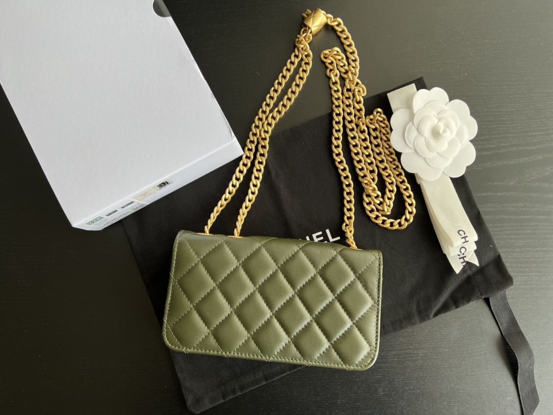 Chanel CC WOC Bag Black/Beige/ Green Khaki/ Brown For Women 6.7 in / 17 cm