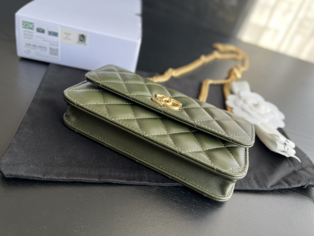 Chanel CC WOC Bag Black/Beige/ Green Khaki/ Brown For Women 6.7 in / 17 cm