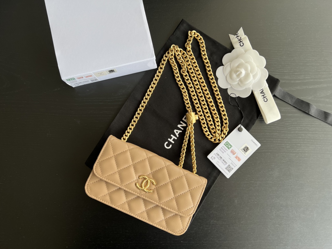 Chanel CC WOC Bag Black/Beige/ Green Khaki/ Brown For Women 6.7 in / 17 cm