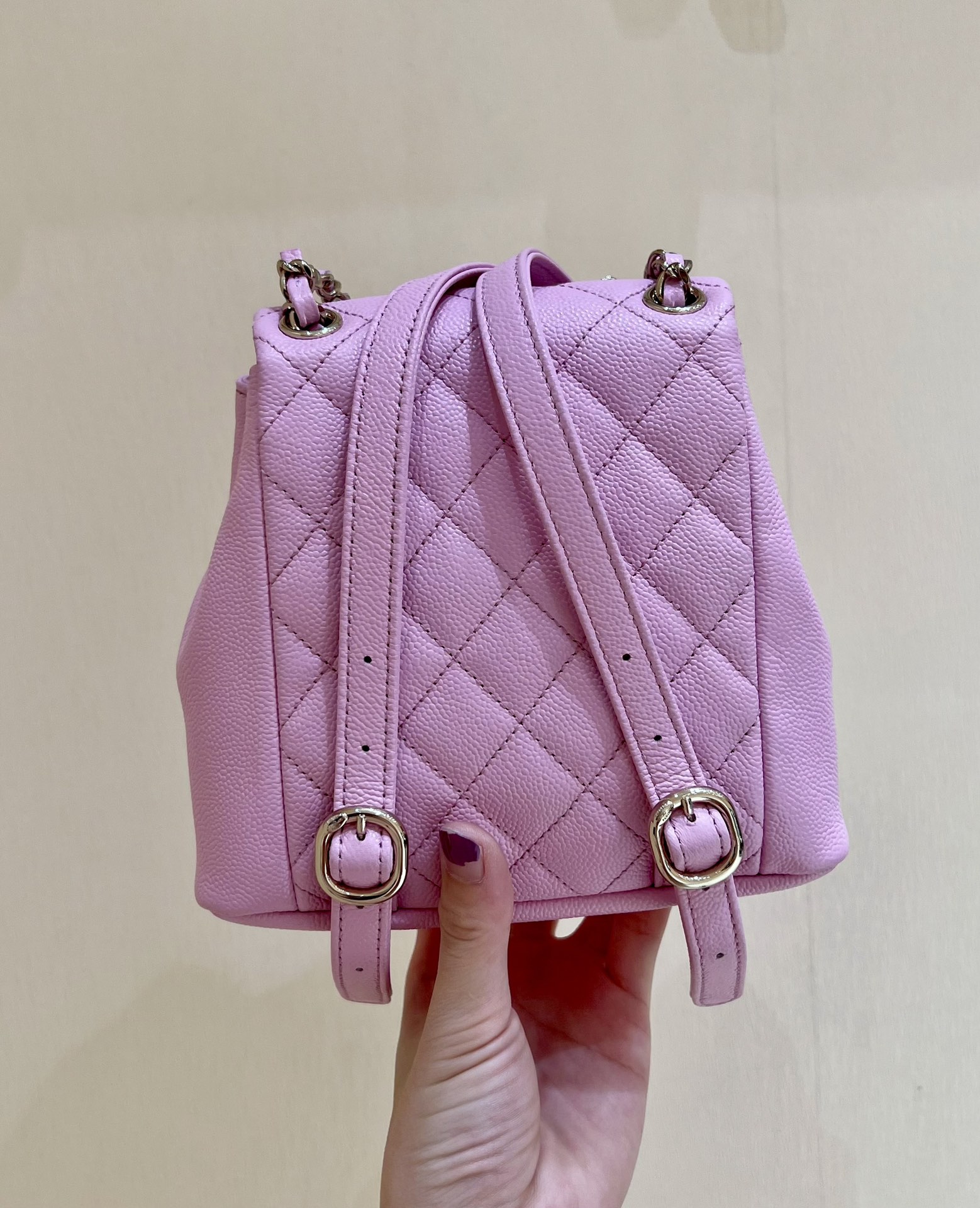 Chanel Small Backpack Bag Pink/Brown/Balck For Women 6.8 in / 17.5 cm AS3787 N