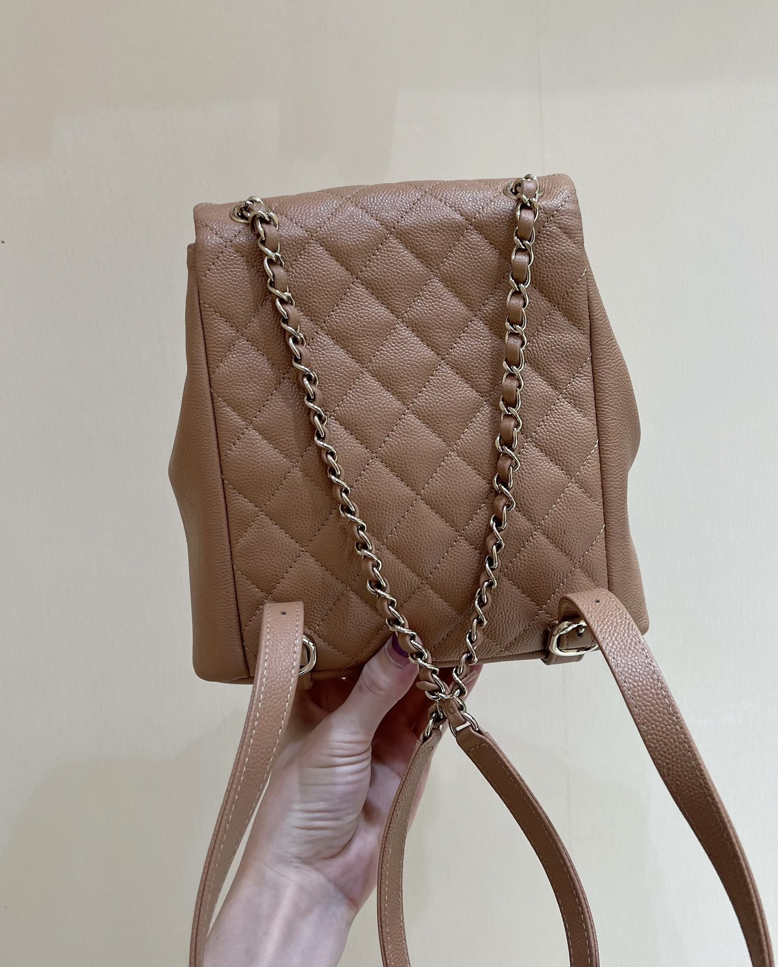 Chanel Small Backpack Bag Pink/Brown/Balck For Women 6.8 in / 17.5 cm AS3787 N