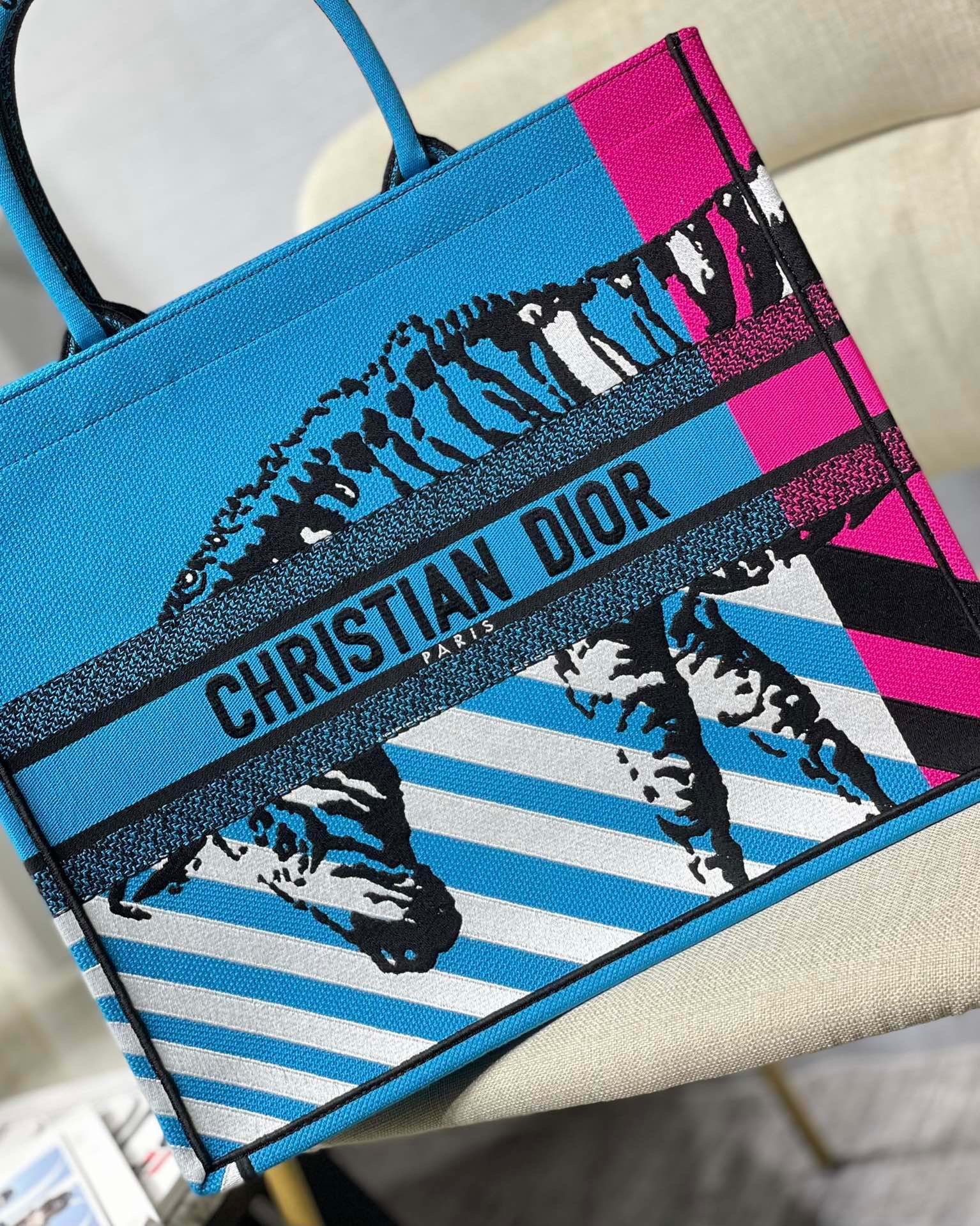 Christian Dior Large Dior Book Tote Blue And Pink, For Women, Women’s Handbags 16.5in/42cm CD
