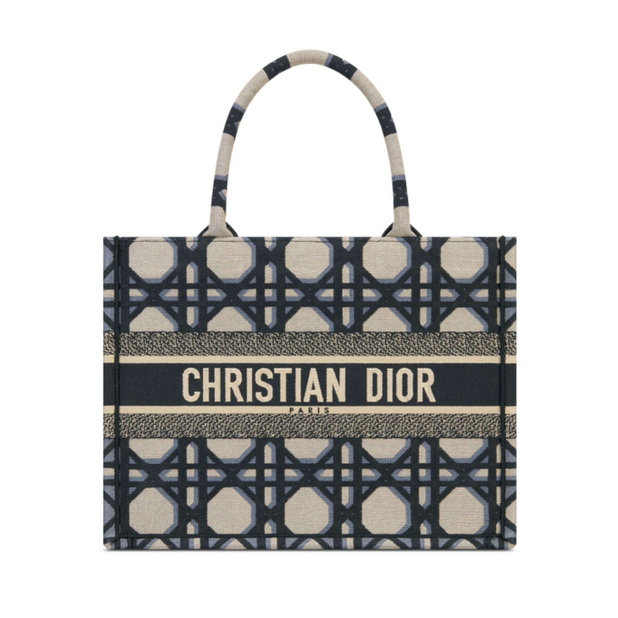 Christian Dior Medium Dior Book Tote Beige And Blue Bag For Women 14 Inches/ 36 Cm