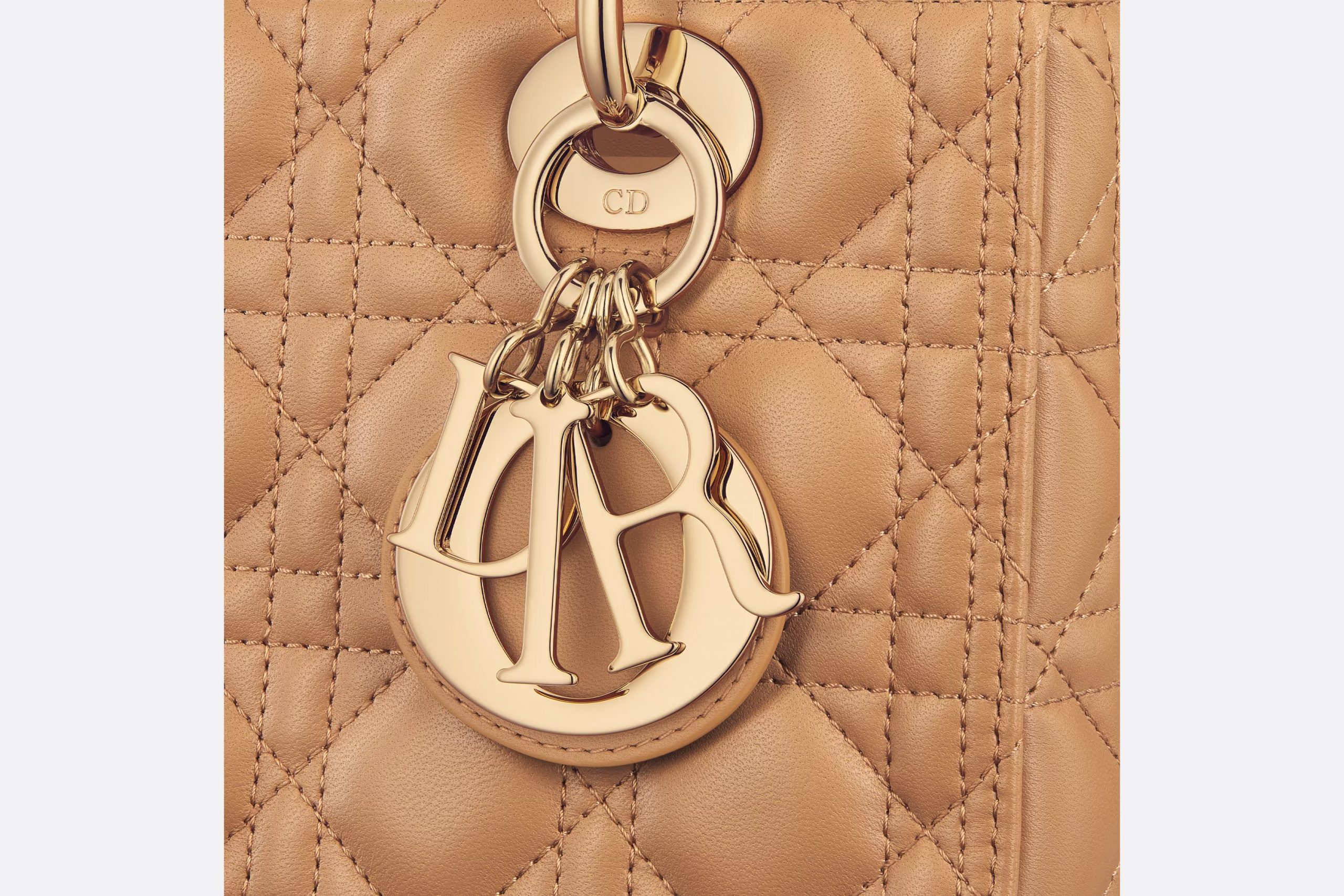 Christian Dior Medium Lady Bag For WomenONGE_M53U 9.5in/24cm