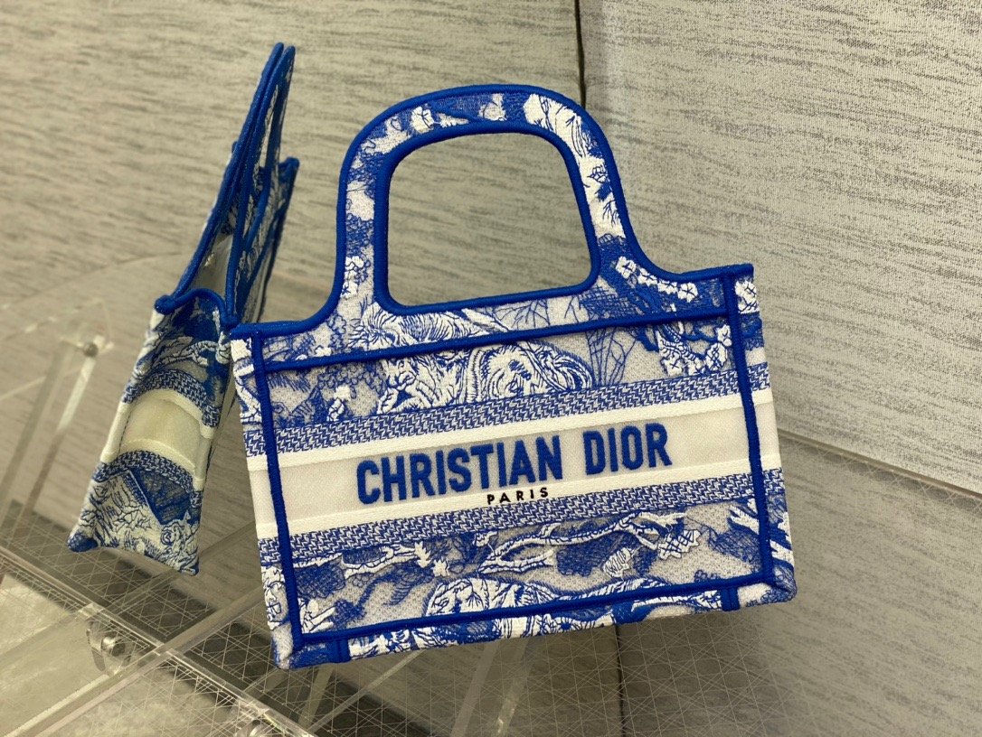 Christian Dior Mini Dior Book Tote Blue, For Women Women’s Handbags 9in/23cm CD