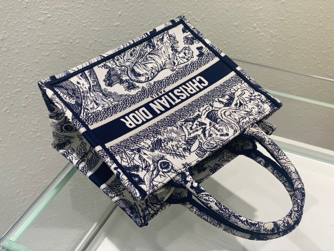 Christian Dior Small Dior Book Tote Blue, For Women, Women’s Handbags 26.5cm/10.5in CDZRGO_