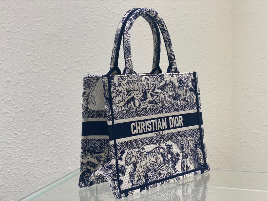 Christian Dior Small Dior Book Tote Blue, For Women, Women’s Handbags 26.5cm/10.5in CDZRGO_