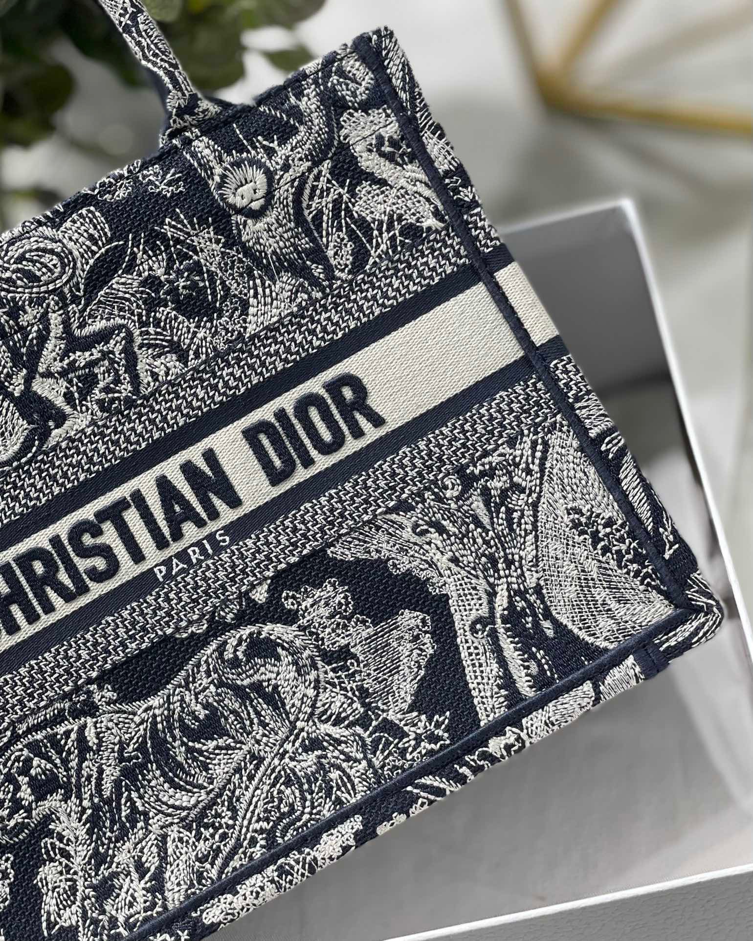 Christian Dior Small Dior Book Tote Blue, For Women, Women’s Handbags 26.5cm/10.5in CDZRGO_