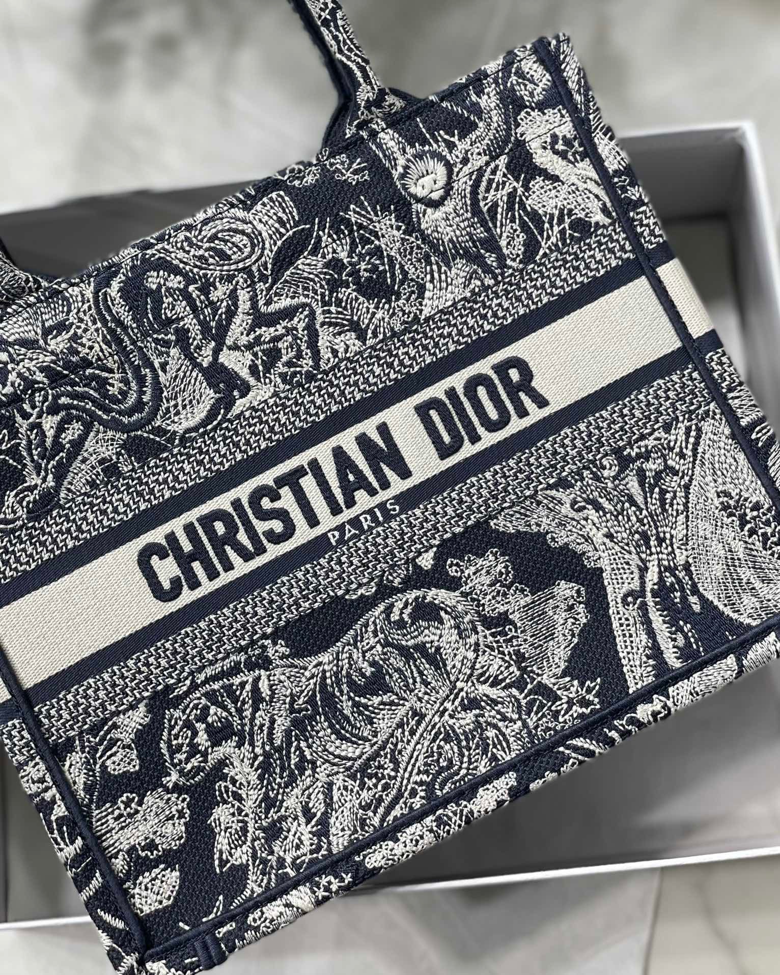 Christian Dior Small Dior Book Tote Blue, For Women, Women’s Handbags 26.5cm/10.5in CDZRGO_