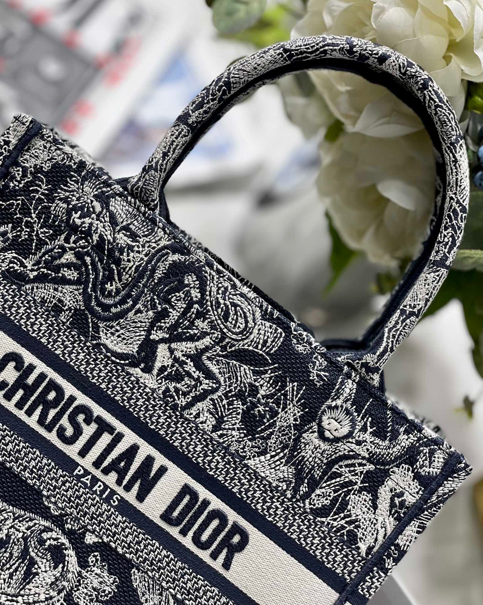 Christian Dior Small Dior Book Tote Blue, For Women, Women’s Handbags 26.5cm/10.5in CDZRGO_