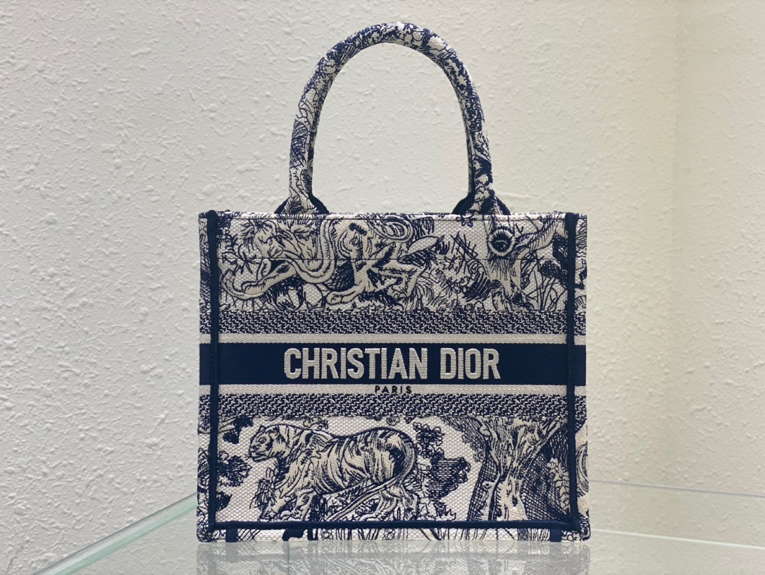 Christian Dior Small Dior Book Tote Blue, For Women, Women’s Handbags 26.5cm/10.5in CDZRGO_
