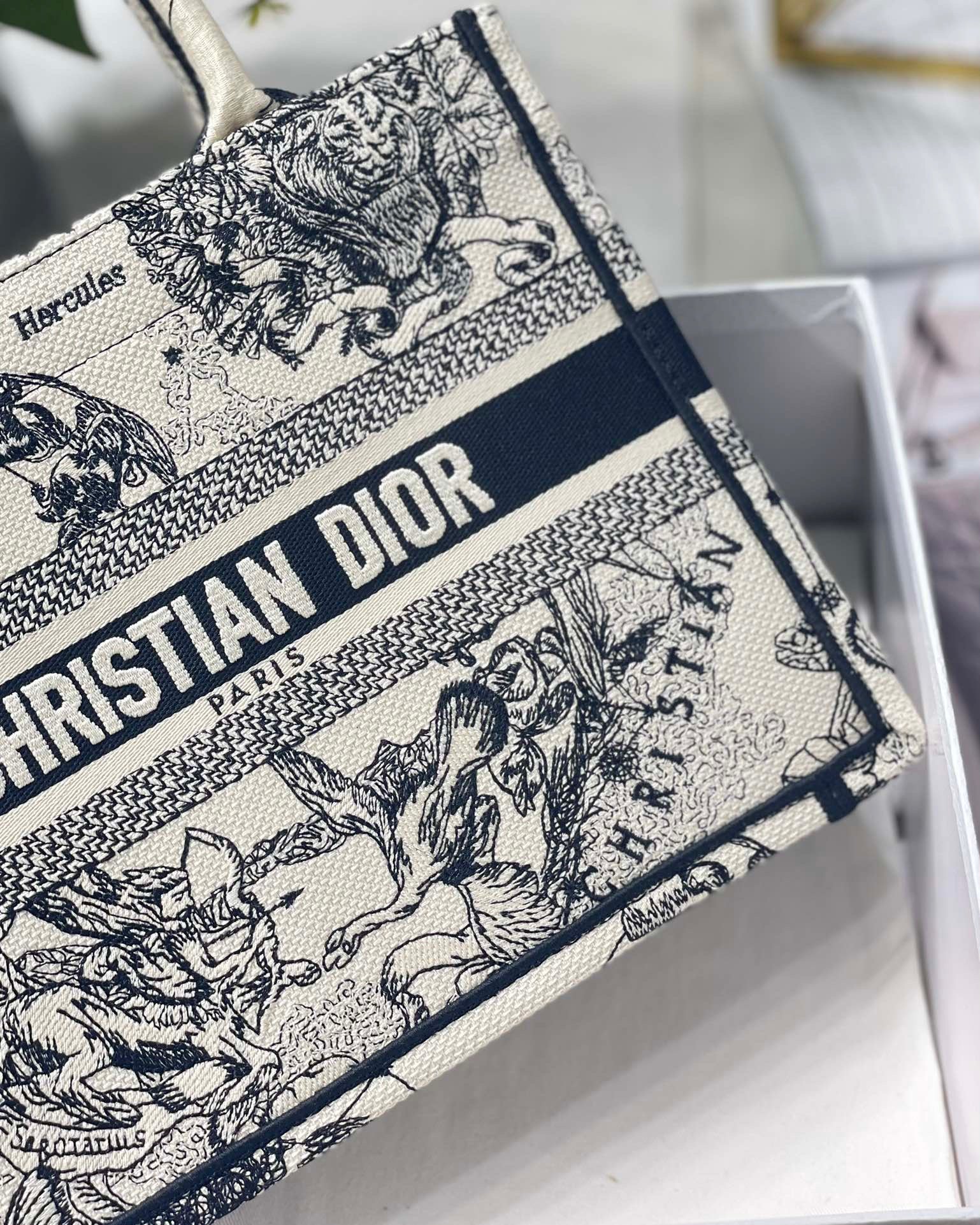 Christian Dior Small Dior Book Tote White, For Women, Women’s Handbags 26.5cm/10.5in CDZRHZ_