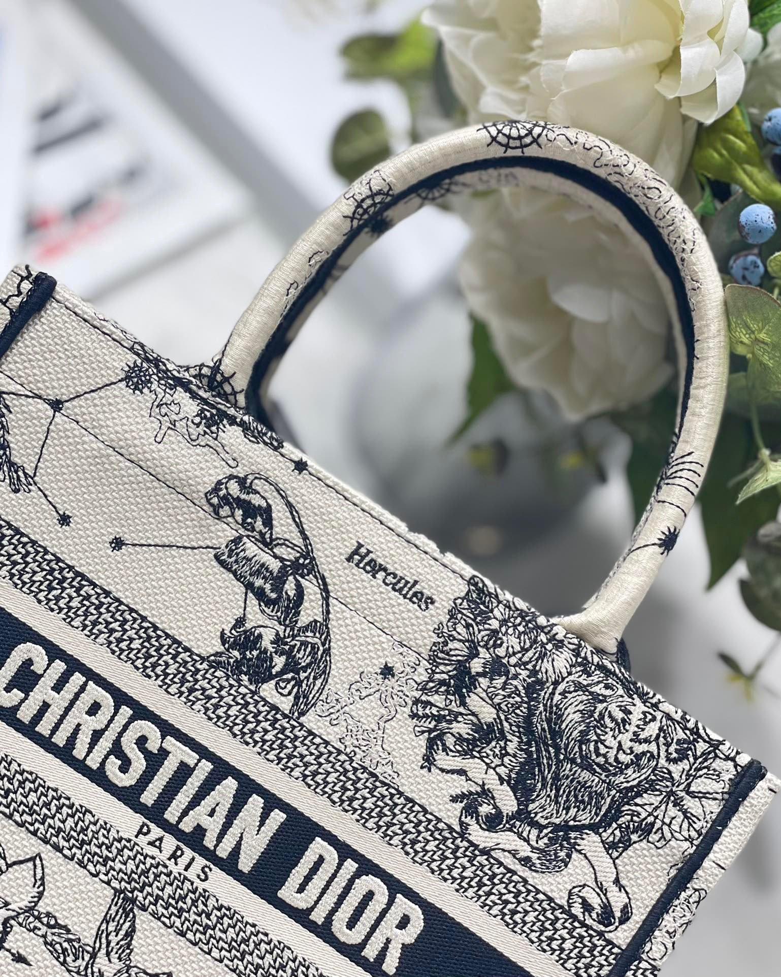 Christian Dior Small Dior Book Tote White, For Women, Women’s Handbags 26.5cm/10.5in CDZRHZ_