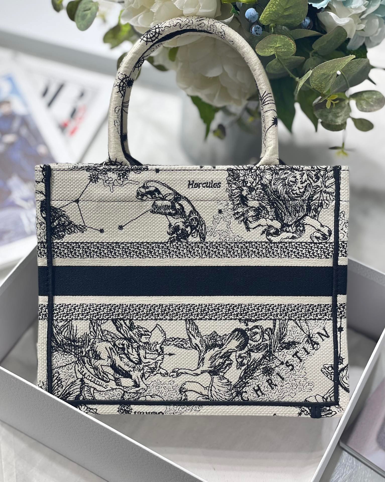 Christian Dior Small Dior Book Tote White, For Women, Women’s Handbags 26.5cm/10.5in CDZRHZ_