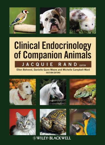 Clinical Endocrinology of Companion Animals (PDF/EPUB Version)