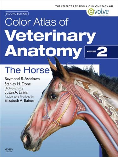 Color Atlas of Veterinary Anatomy, Volume 2, The Horse (PDF/EPUB Version)