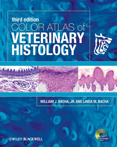 Color Atlas of Veterinary Histology (PDF/EPUB Version)
