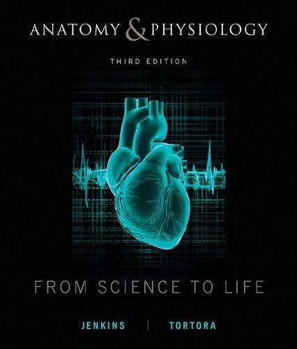 Anatomy And Physiology From Science To Life 3Rd Edition