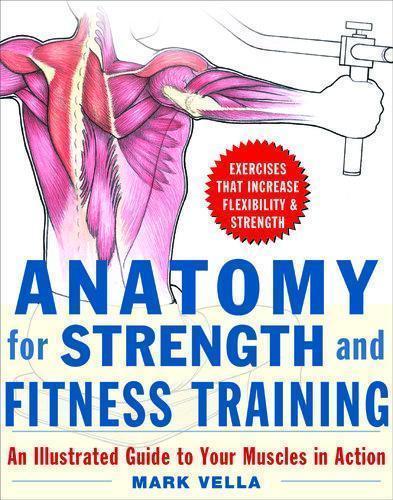 Anatomy For Strength And Fitness Training An Illustrated Guide To Your Muscles In Action