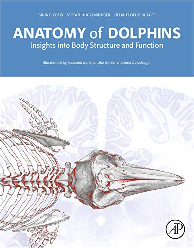 Anatomy of Dolphins. Insights Into Body Structure and Function