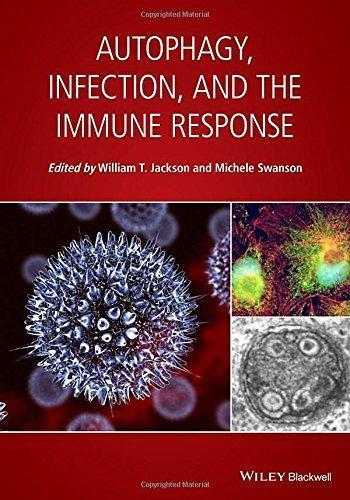 Autophagy Infection And The Immune Response