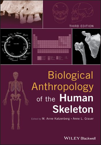 Biological anthropology of the human skeleton