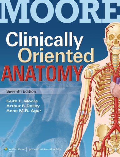 Clinically Oriented Anatomy 7th Edition by Moore