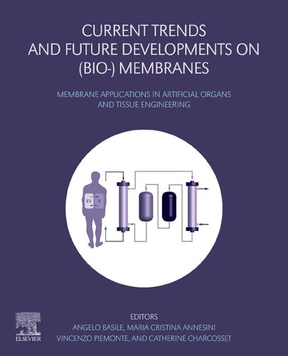 Current Trends and Future Developments on (Bio-) Membranes: Silica Membranes: Preparation, Modelling, Application, and Commercialization