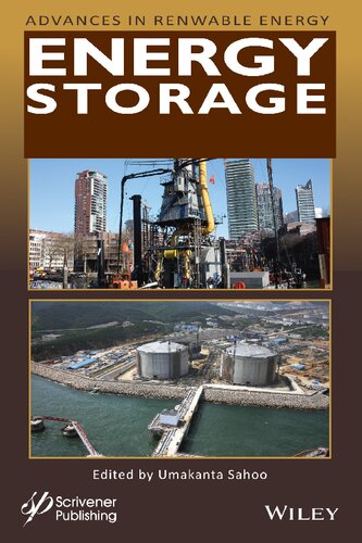 Energy Storage (Advances in Renewable Energy Series)