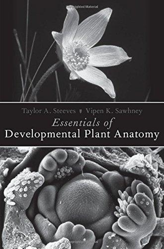 Essentials Of Developmental Plant Anatomy