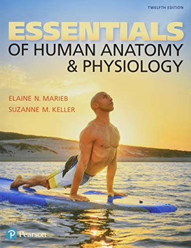 Essentials Of Human Anatomy &amp; Physiology